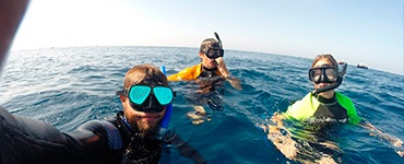 tour de snorkel Tiburon Ballena 